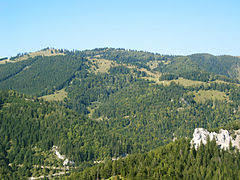 Türnitzer Alpen