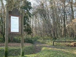 Bois de Chigny