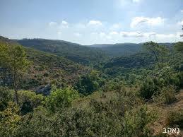 Nahal Bustan