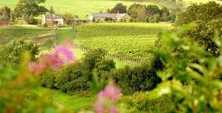 Furleigh Estate Vineyard and Winery