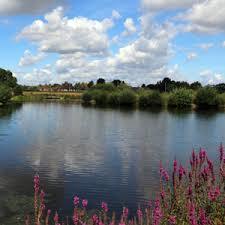 Tameside Local Nature Reserve