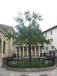 Árbol de Guernica