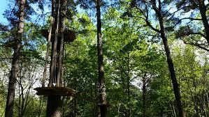 el Forestal Park Bilbao