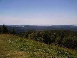 Thüringer Wald