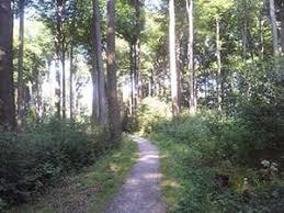 Ewaldsee