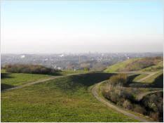 Rungenberghalde
