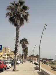 Lungomare