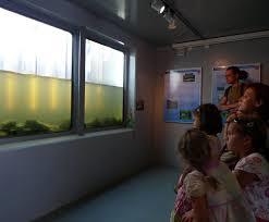 Lahnfenster