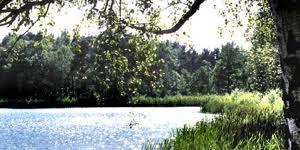 Heidesee
