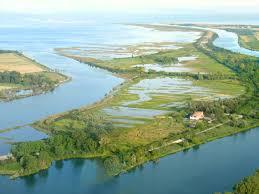 Riserva Naturale Regionale della Foce dell'Isonzo