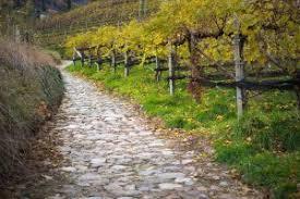 Marlinger Hohenweg