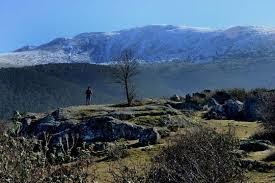 Fortines del Cerro del Puerco
