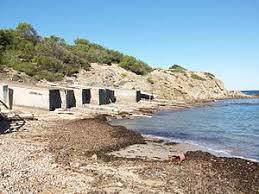 Platja Pou d'es Lleo