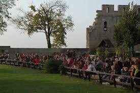 Burgfalknerei Hohenbeilstein