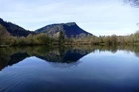 Rauhenzeller See