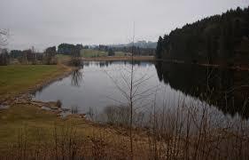 Widdumer Weiher