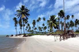 Estrada Acesso para Praia de Muro Alto e Camboa