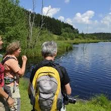 Herbisweiher