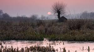RSPB Fen Drayton Lakes
