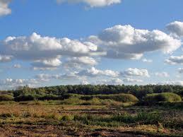 Chojnowski Park Krajobrazowy