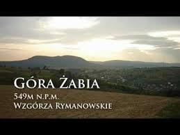 Żabia