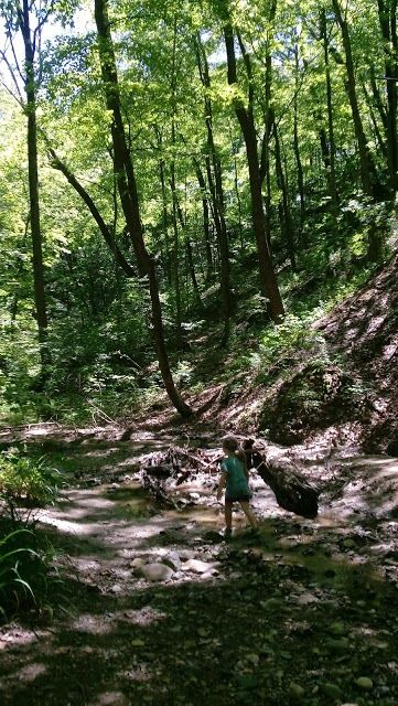 Happy Hollow Park Playground