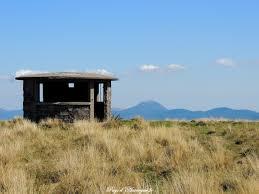 Puy Loup
