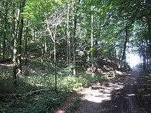 Löbsal