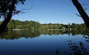 Buxheimer Weiher