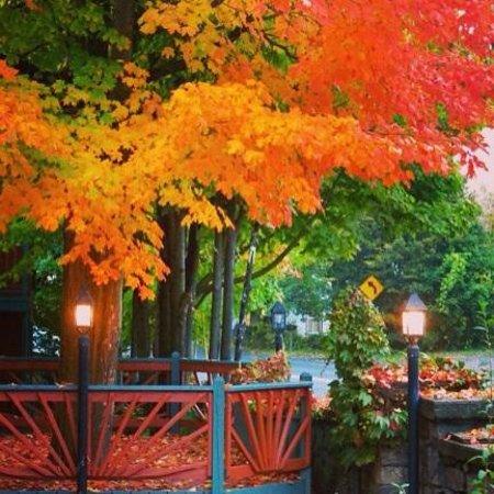 La Perla at the Gregory House