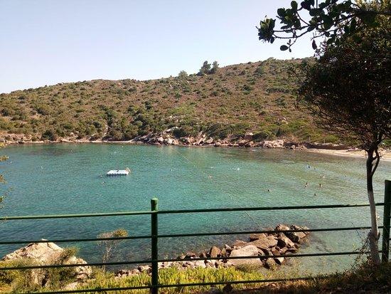 Cook Taze Patisserie