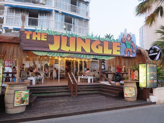 The Jungle
