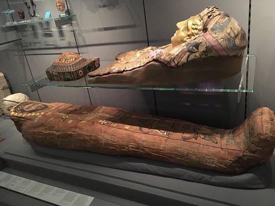 Fitzwilliam Museum Cafe