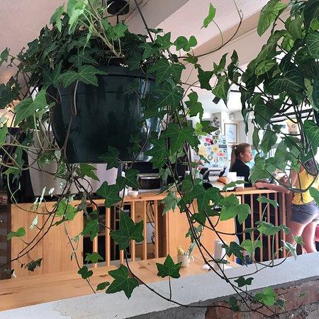 Cafe Miel Costa Rica