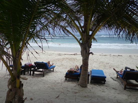 Los Corales Restaurant