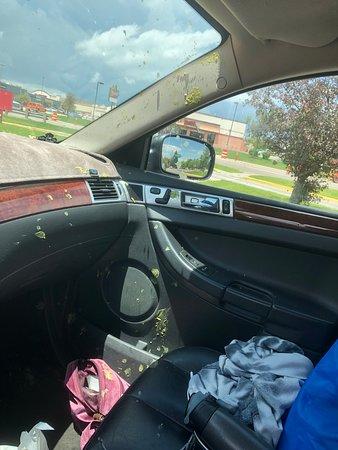 Rolando's Mexican Grill