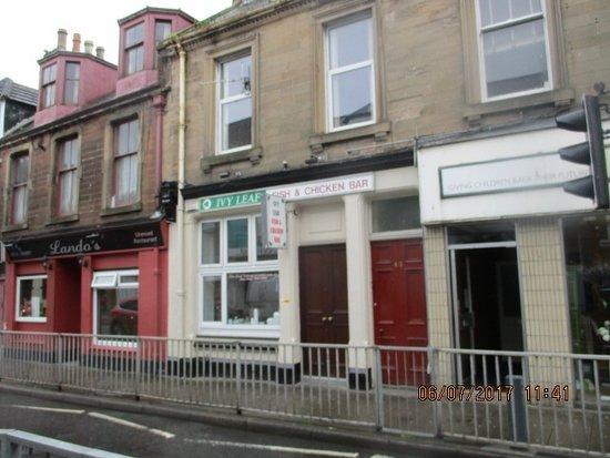 The Ivy Leaf Chicken Bar