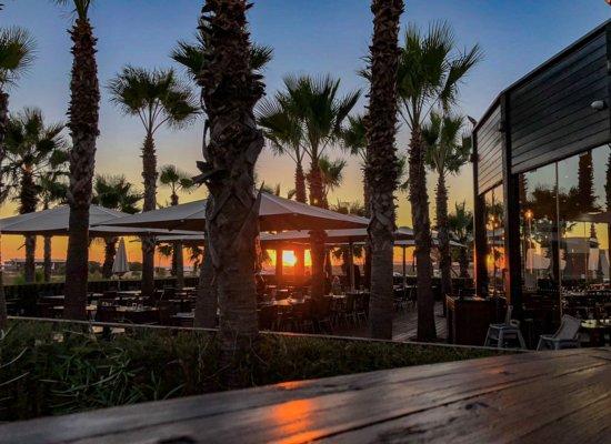 Primadonna Ristorante Italiano