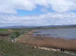 Observatorio de aves de la laguna de Pitillas