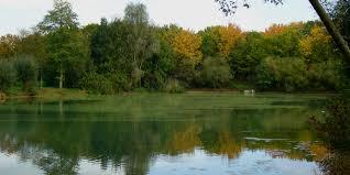 Mühlbachsee