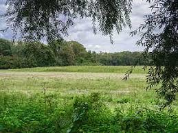 Beerenbruch