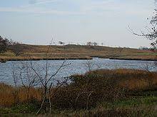 Düne am Treßsee