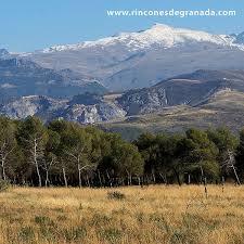 el Llano De La Perdiz