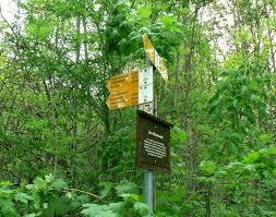 Klingenbachschlucht