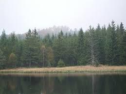 Steinhübel