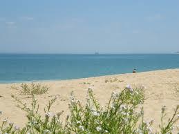 Plage du Douhet