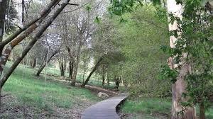 Bosque dos Veciños