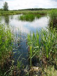 Bagno Nadrowskie