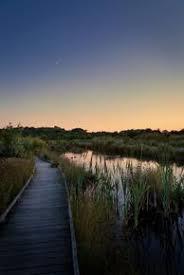 Regional Nature Reserve of the Marshes of Condette