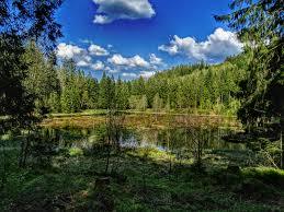 Buhlbachsee